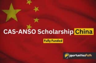 CAS-ANSO Scholarship China