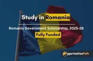 Romania Government Scholarship, 2025