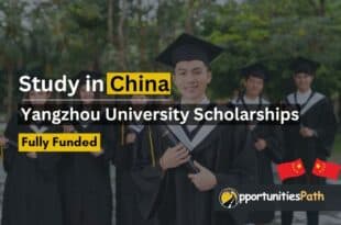 Yangzhou University Scholarships