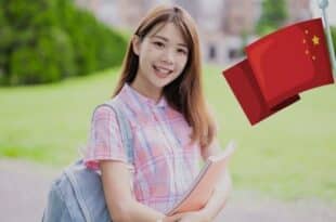 Shanghai Government Scholarship 2025