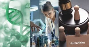 Humboldt Research Fellowships 2025