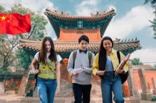CSU China Link Scholarship 2025