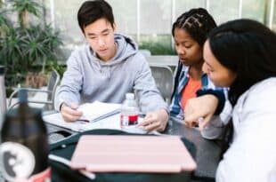 Ellison Scholars Program 2026