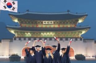KOICA Scholarship 2025