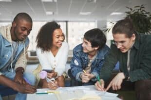 Malta Government Endeavour Scholarships 2025