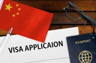 ASEAN Visa 2025
