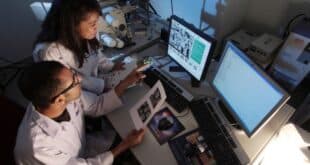 Otago university Summer Research Scholarship 2025
