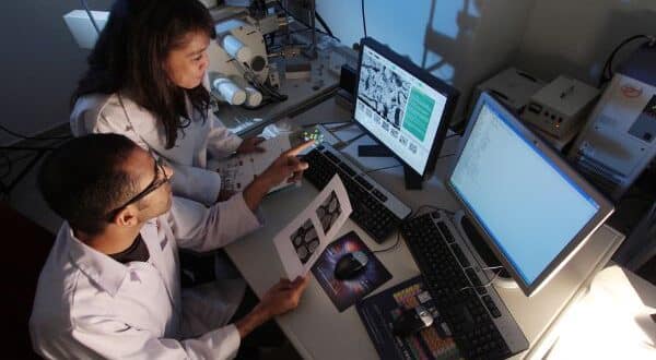 Otago university Summer Research Scholarship 2025