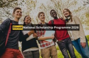 Slovak National Scholarship Programme 2026