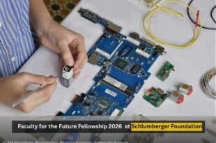 Faculty for the Future Fellowship 2026