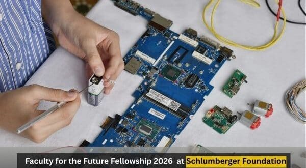 Faculty for the Future Fellowship 2026