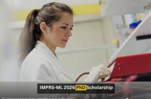 IMPRS-ML 2026 PhD Scholarship