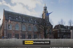 Minerva Scholarship 2026