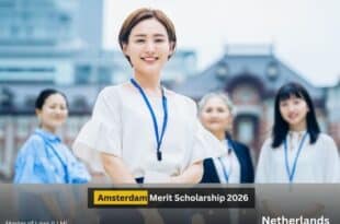 Amsterdam Merit Scholarship 2026