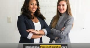 International Peace Scholarship 2026