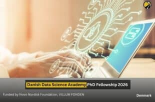DDSA PhD Fellowship 2026