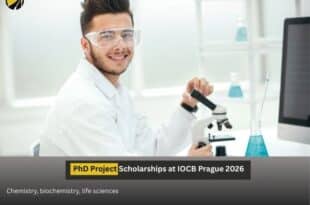 IOCB Prague PhD Scholarship 2026