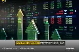 WTO Internship Programs 2026