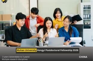 Wuhan University Hongyi Postdoctoral Fellowship 2026