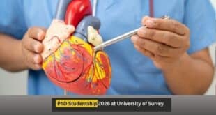 University of Surrey PhD Studentship 2026
