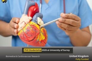 University of Surrey PhD Studentship 2026