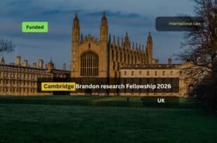 Cambridge Brandon research Fellowship 2026