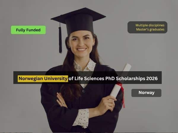Multiple Fully Funded PhD Scholarships 2026 Open at NMBU Norway ...