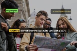 Sheffield Undergraduate Scholarship 2026