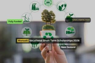 New Zealand Training Scholarships 2026