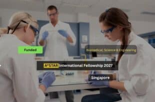 ASTAR International Fellowship 2027